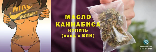 гидра Абаза