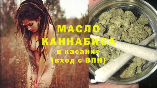 гидра Абаза