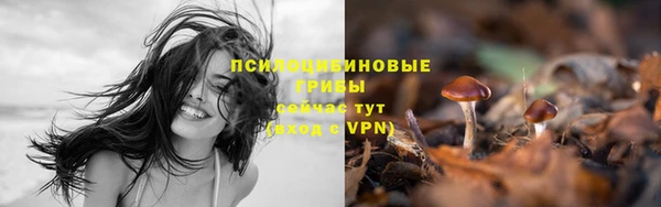 хмурый Абдулино