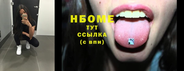 гидра Абаза