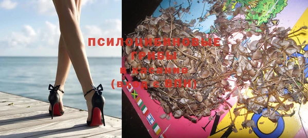 гидра Абаза