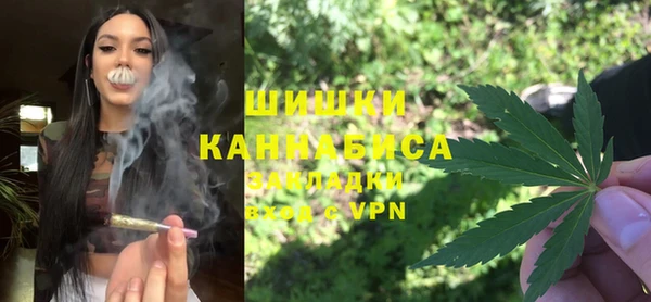 гидра Абаза