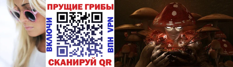 Галлюциногенные грибы ЛСД купить закладку Починок